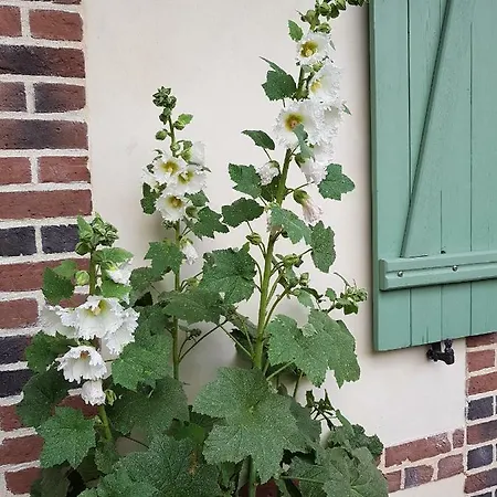 Feriehus Les Bruyeres